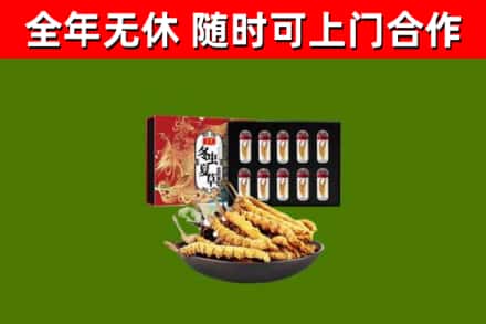 兰西县烟酒回收冬虫夏草礼盒.jpg