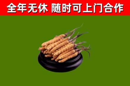 兰西县烟酒回收冬虫夏草.jpg